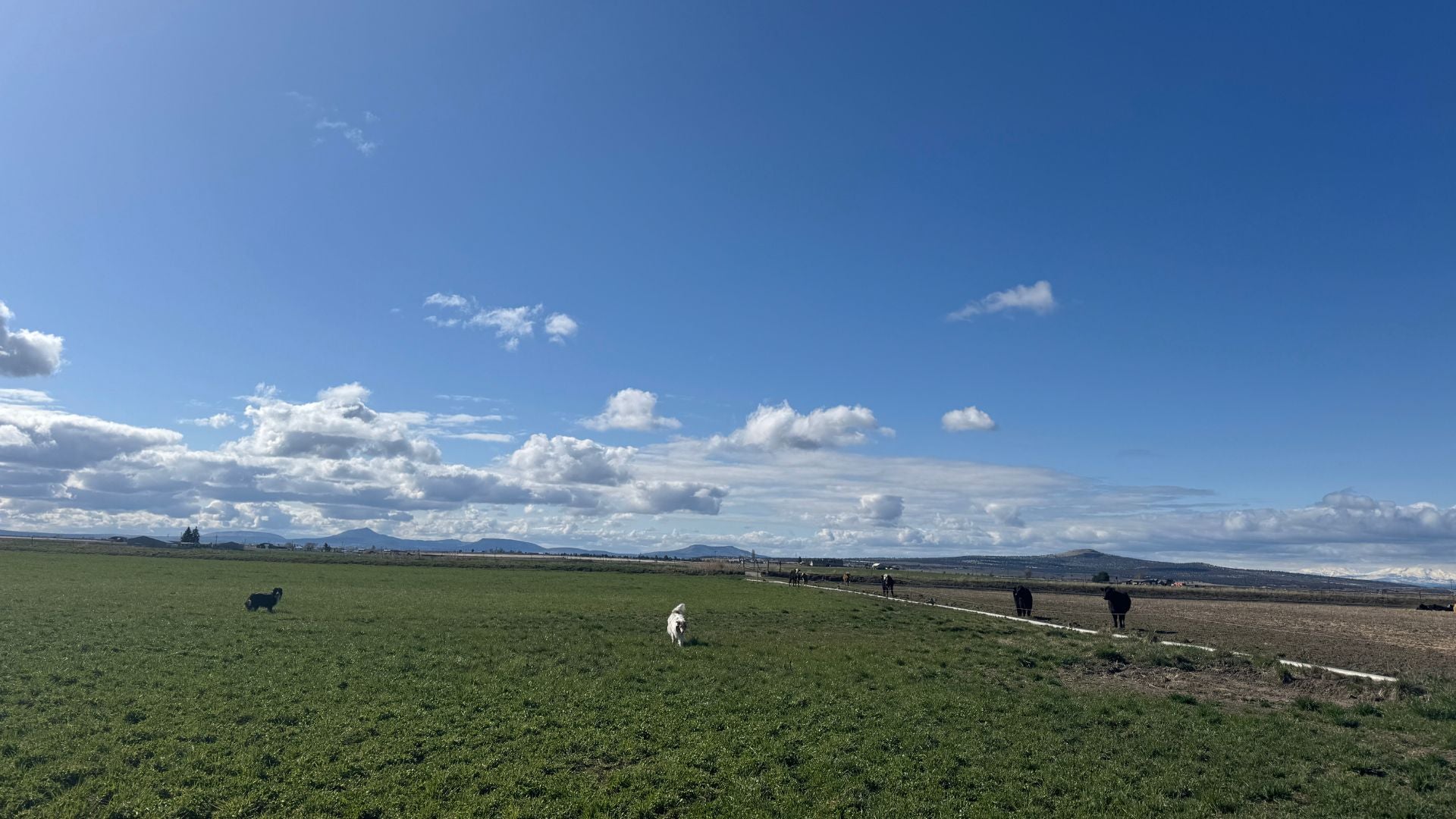 Founder Reflections: Building in Perpetuity