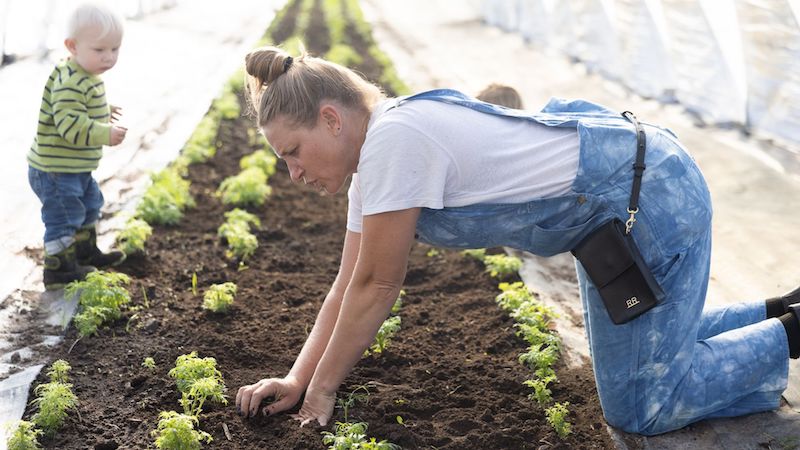 Mothers Do It All: A Love Letter to Kara Gilbert of Vibrant Valley Farm