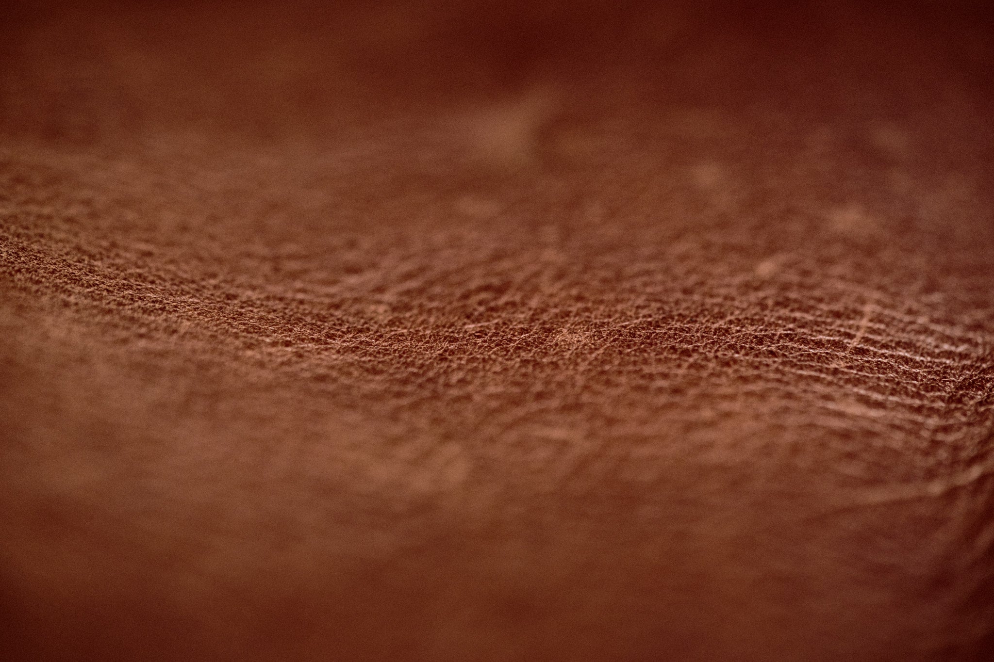 Leather Tanning: What is Needed for a Sustainable Future