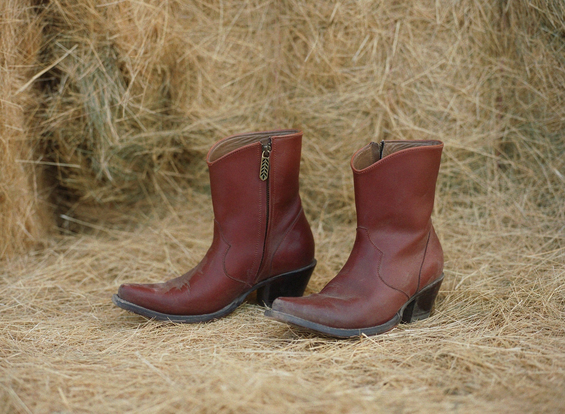 The Chestnut Boot