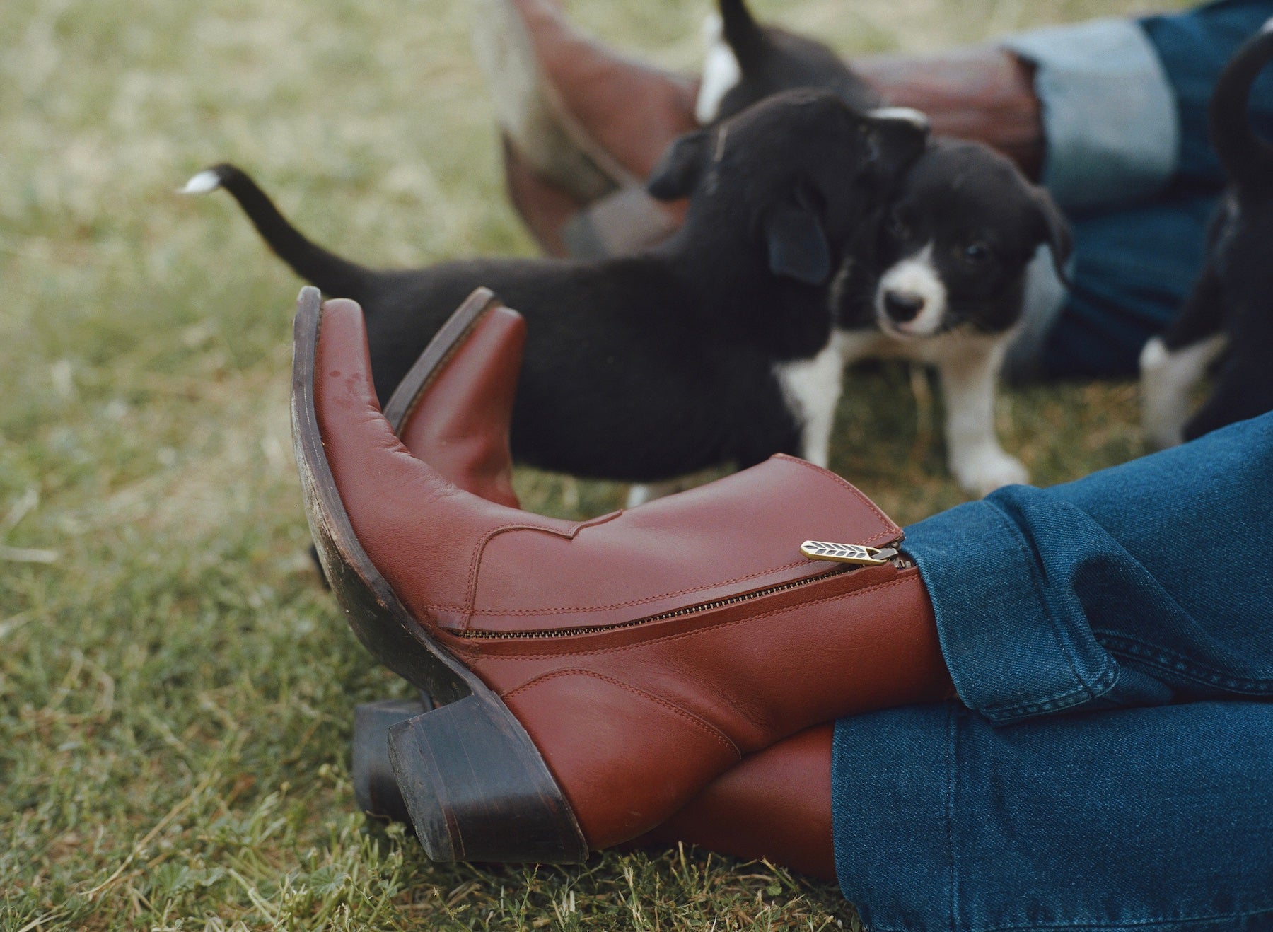 The Chestnut Boot