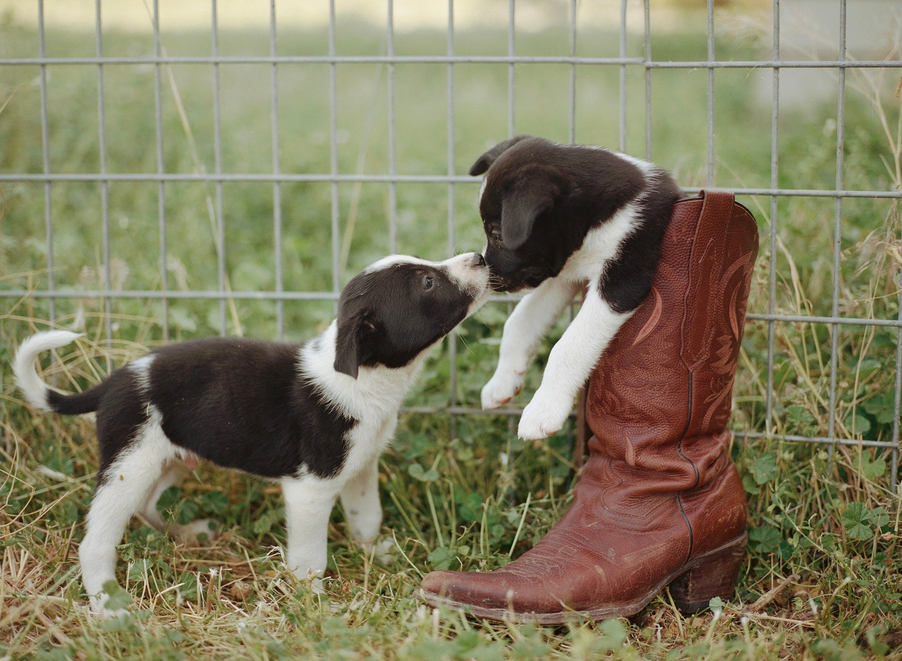 The Coltrane Boot
