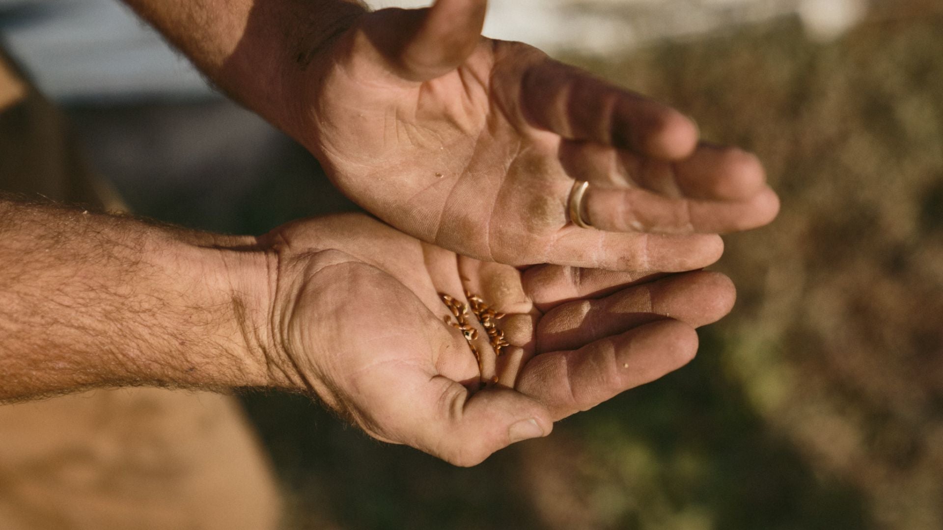 Choosing What to Carry Into the Future: Mind, Body and Soil Podcast